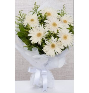 beyaz gerbera buketi
